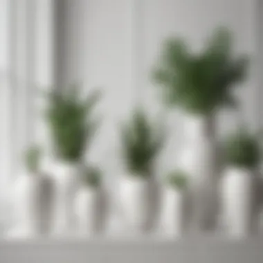 Elegant arrangement of white ceramic pots showcasing diverse plant species